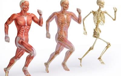 Musculoskeletal Awareness for Improved Health