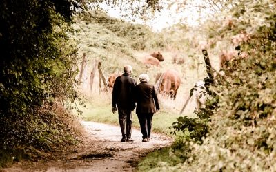 Planning for Retirement and Increased Life Expectancy | Vivna