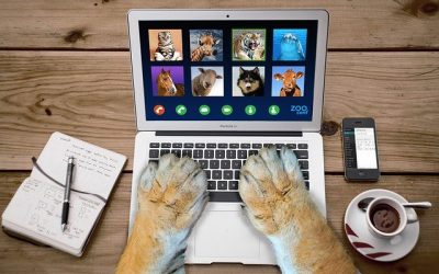 6 Ways to Maximize Self-Care in a Virtual Environment | Vivna Insurance