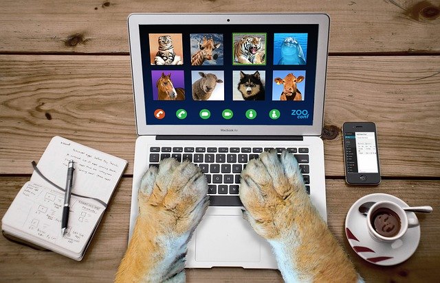 Dog paws typing on computer on a web call with coffee, notepad, and cellphone next to laptop