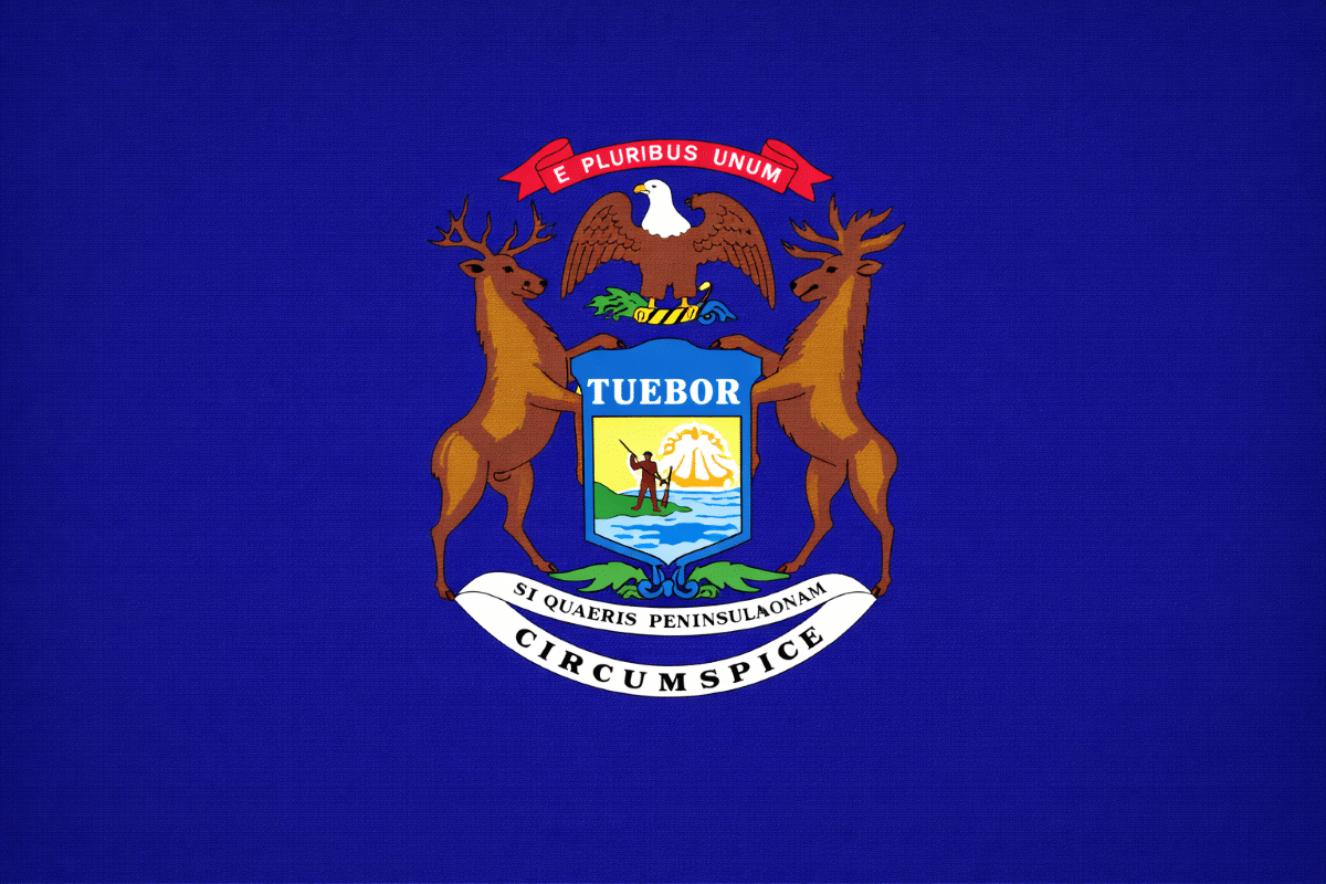 Michigan State Flag
