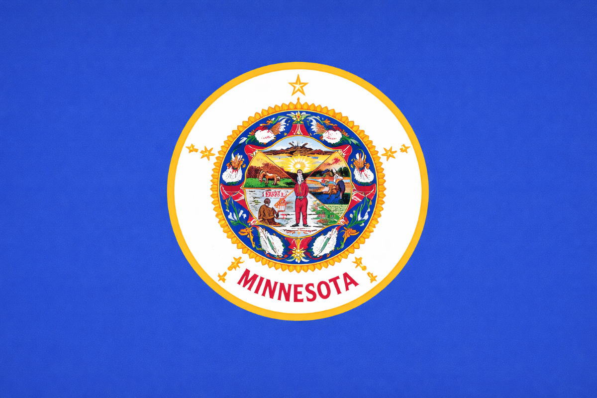 Minnesota State Flag