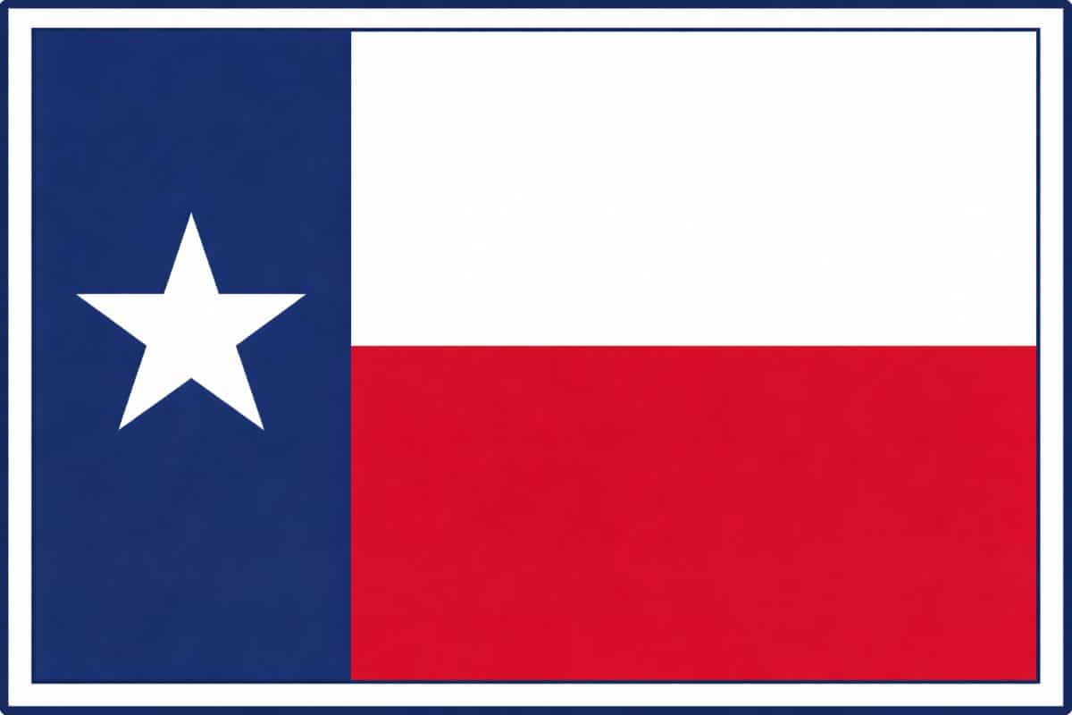 Texas State Flag 2