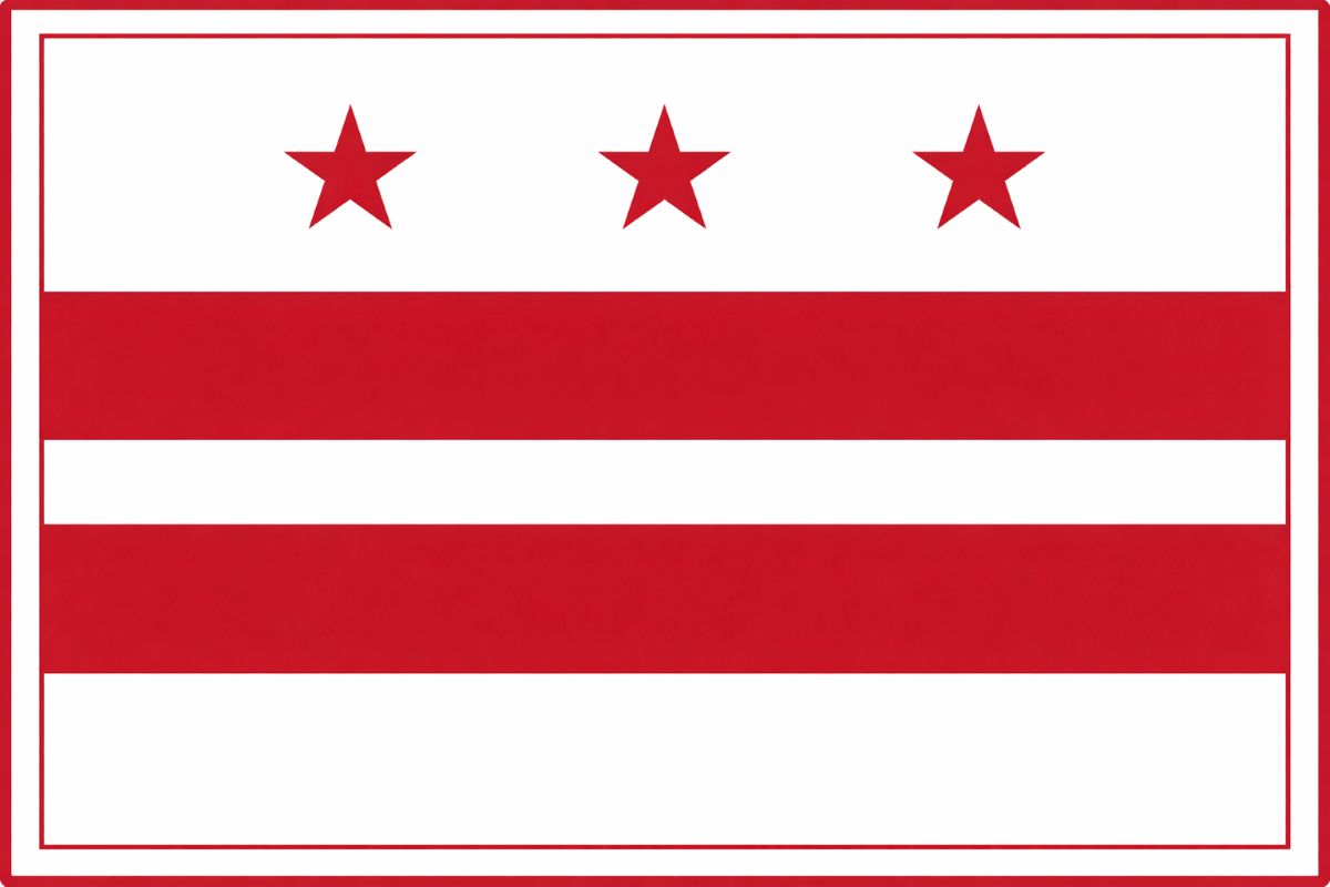 Washington DC Flag 2