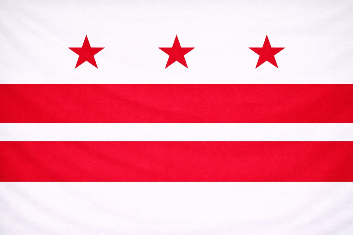 Washington DC Flag