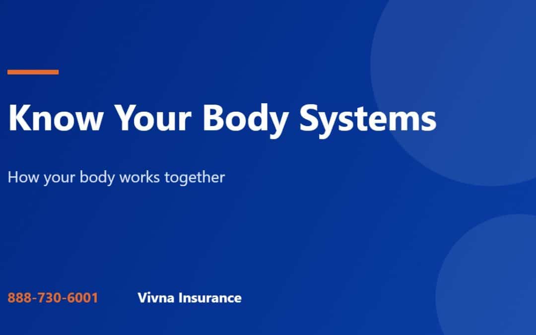 Body systems guide from Vivna Insurance