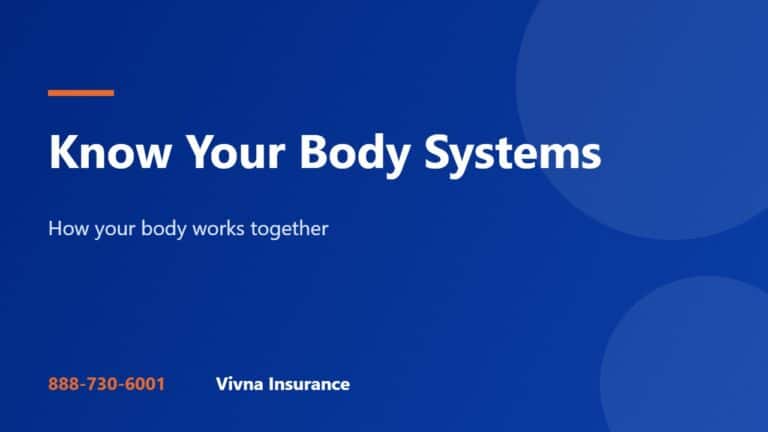 Know Your Body Systems to Stay Healthy