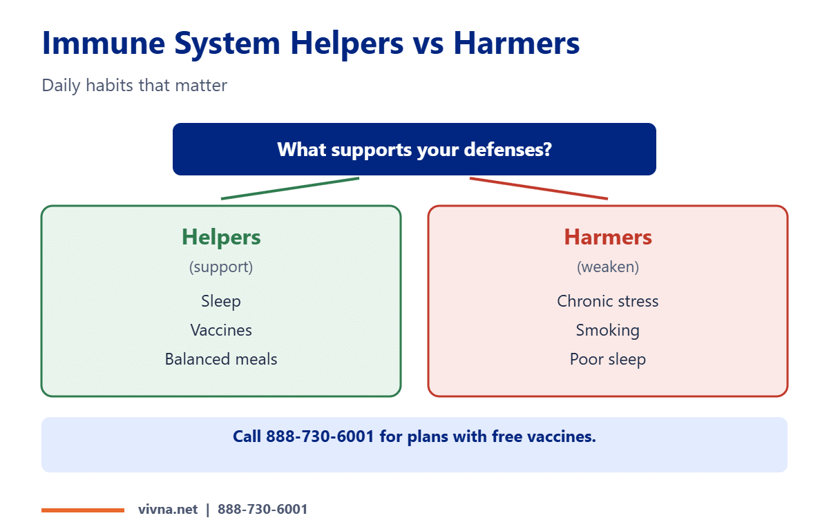 Immune system helpers vs harmers comparison