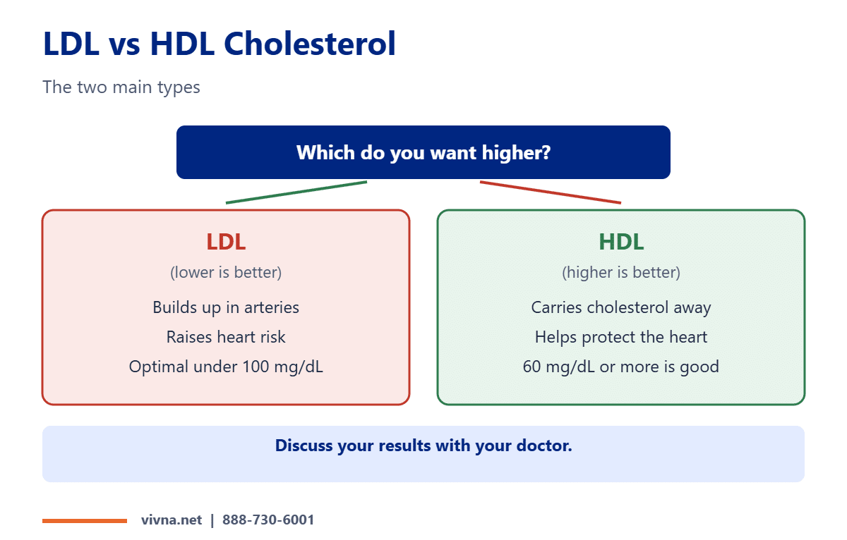 LDL cholesterol vs HDL comparison