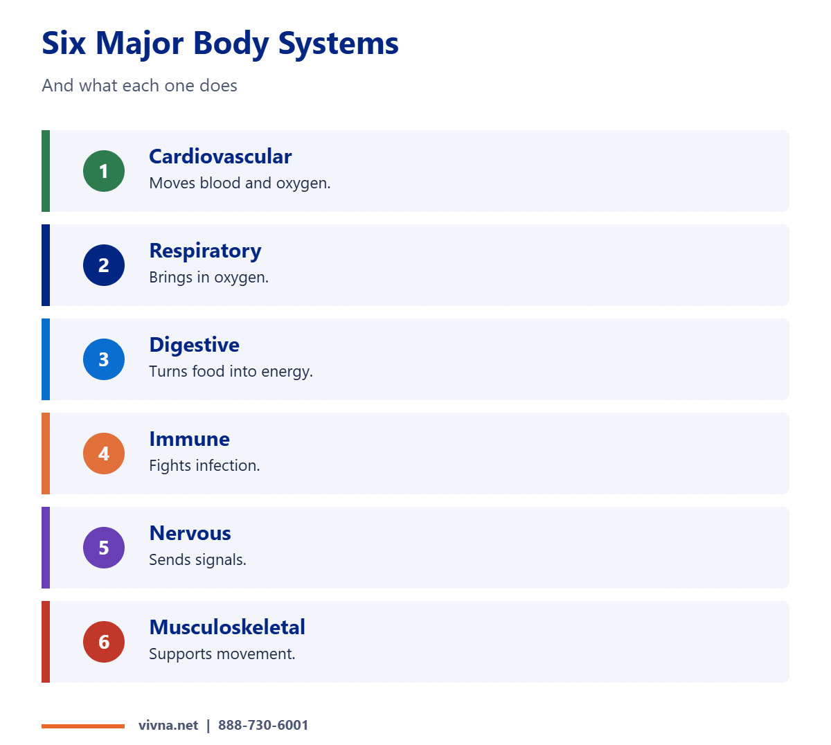 Six major body systems
