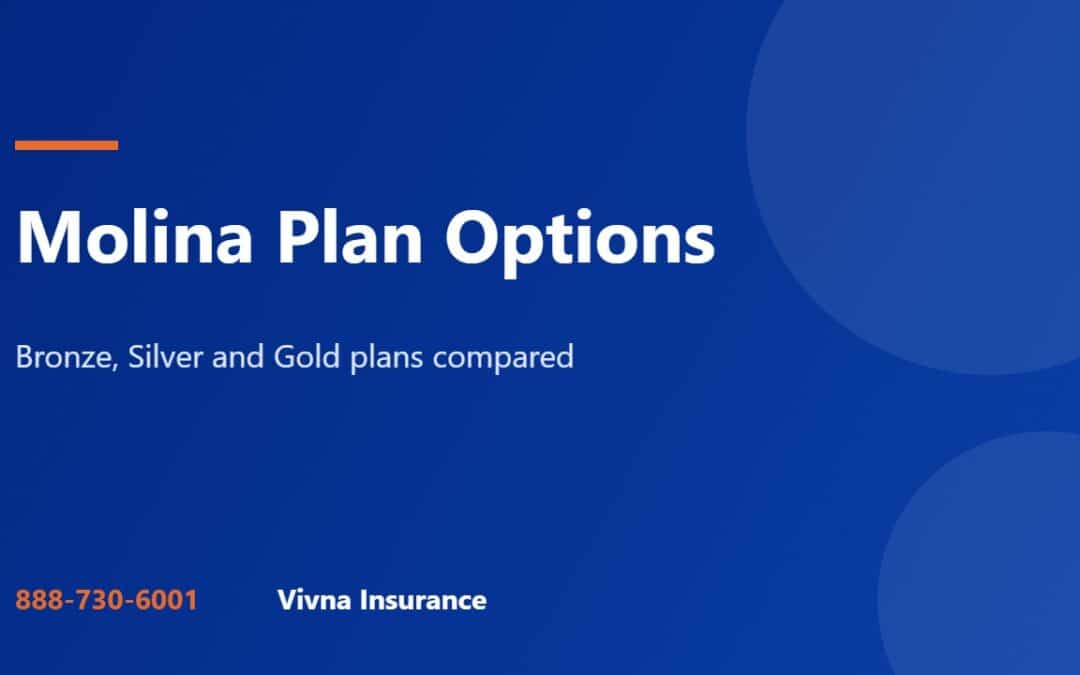 Molina plan options guide from Vivna Insurance