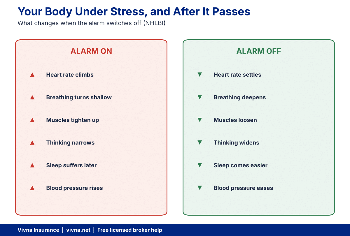 Two-column chart comparing the body under stress with staying calm in stressful situations