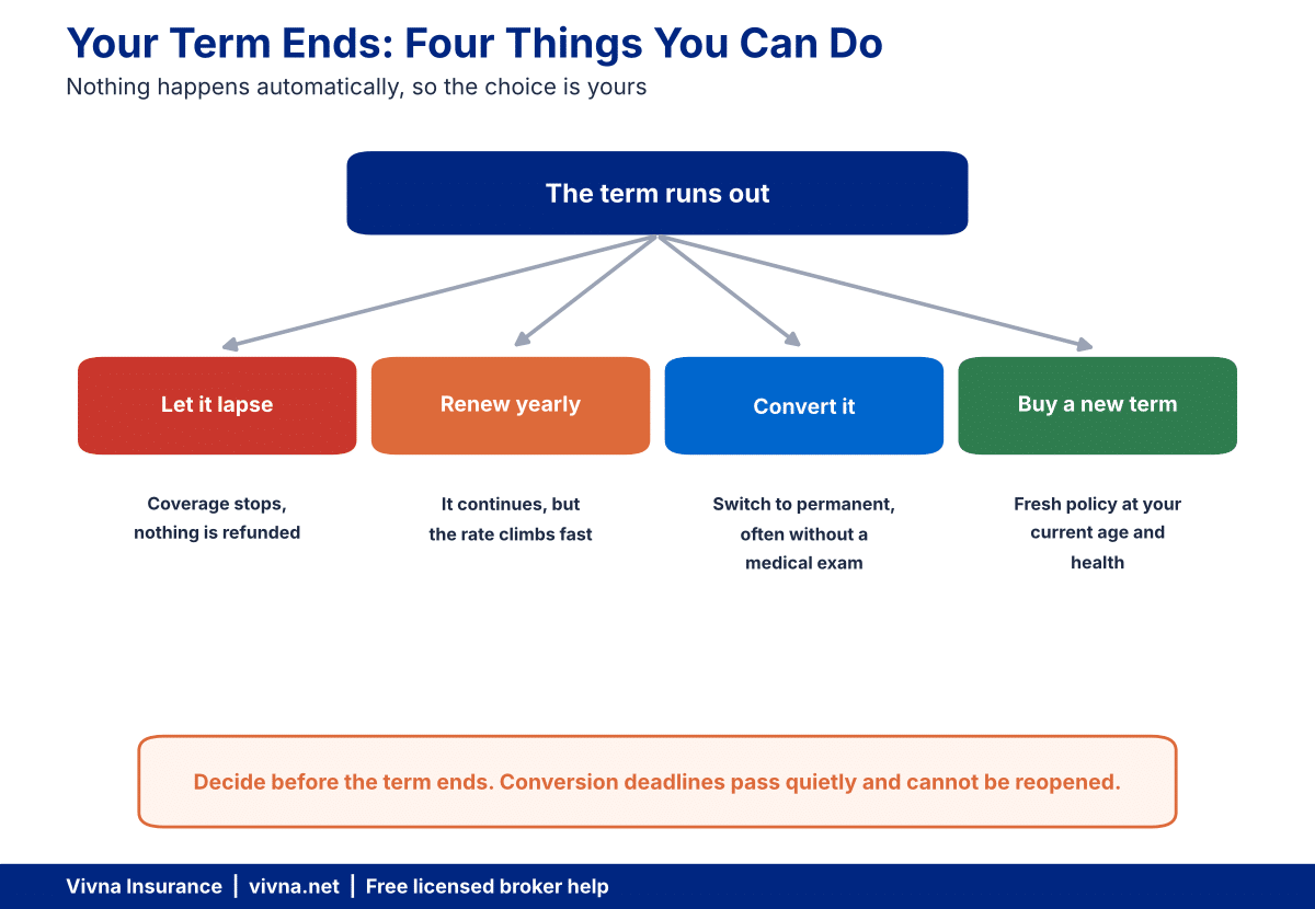 Chart of the four options if you outlive your term life insurance